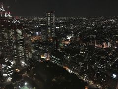 -东京都厅舍