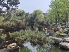-中国唐苑