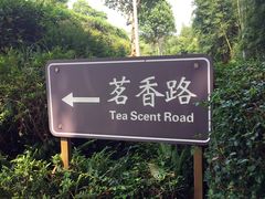 -东部华侨城