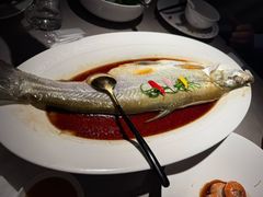 清蒸白水鱼-醉庐·新上海菜(南京西路店)