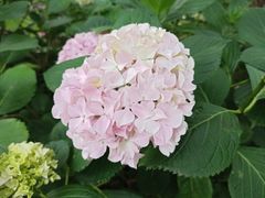 -共青国家森林公园-售票处