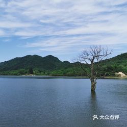 月坝生态康养旅游小镇