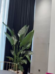 -YASAKI国际舞蹈中心