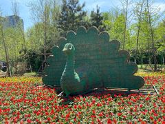 -长白岛森林公园