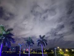 -千岛蚝高压锅生蚝·人参火锅(白云万达店)