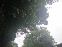 -黄埔古港