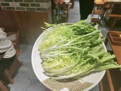 -蜀家渝重庆火锅(南屏街店)