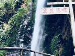 -莫里热带雨林景区