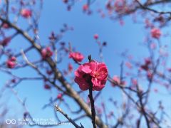 -江苏三台山国家森林公园