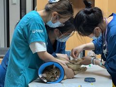 -联合动物医院(光谷诊疗中心)