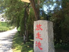 -龙口南山旅游景区