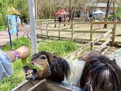 -水上乐园·欢乐世界