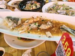 -舌尖上·霞浦滩涂海鲜·新闽菜(总店)