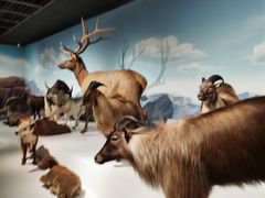 -陕西自然博物馆