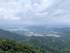 -梧桐山风景名胜区