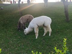 -小小河边鱼(天润城店)