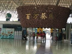 -百万葵园