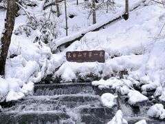 -峡谷浮石林景区