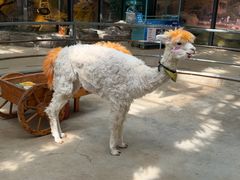 -洛阳龙门海洋馆