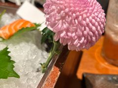 -月龍吟(朝龙汇店)