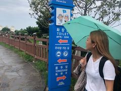 -龙头岩(Dragon Head Rock)
