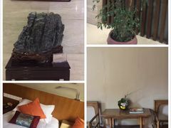 -九华山聚龙大酒店