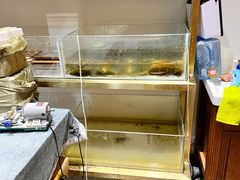 -十八字金·银饰·拼豆·开蚌DIY(魏公芳华里店)