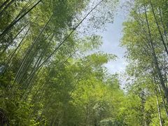 -千泷沟大瀑布旅游区