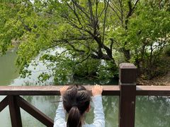 -贡湖湾湿地公园