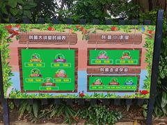 -广州长隆飞鸟乐园