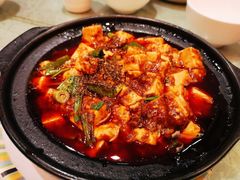 -陈麻婆豆腐总店