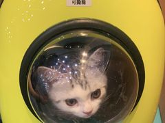 -联合动物医院(光谷诊疗中心)