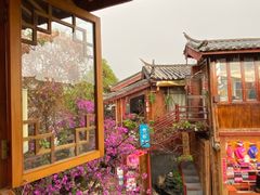 -猫的天空之城概念书店(丽江古城饮玉巷店)