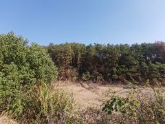 -青龙山国家森林公园