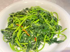 -大树头森林餐厅(番禺广场店)