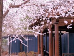 -三里河公园