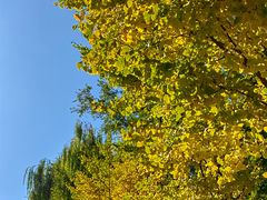 -长白岛森林公园