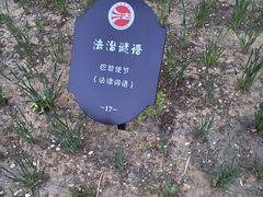 -大兴滨河森林公园