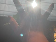 -桂满陇·蟹黄小笼汤包(清河万象店)