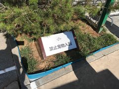 -门城湖公园
