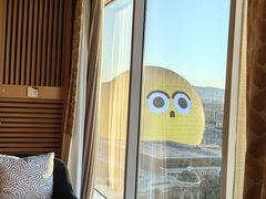 -拉斯维加斯永利酒店