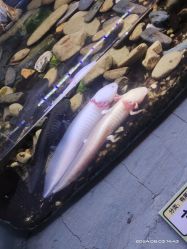 -Zoolung Zoolung动物主题公园(海信广场店)