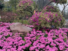 -广州莲花山旅游区
