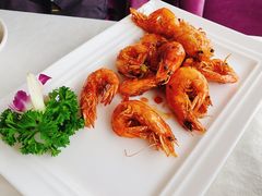 -云中小雅