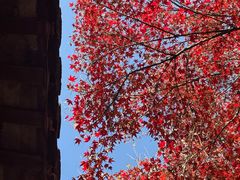 -虞山风景区