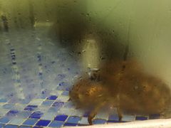 -海鲜码头·中国菜