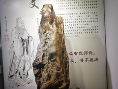 -东南花都花博园