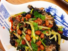 -杨氏青龙虾·羊蝎子(托乐嘉店)