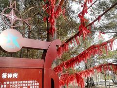 -北极村旅游风景区