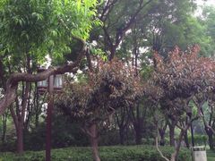 -玲珑塔公园